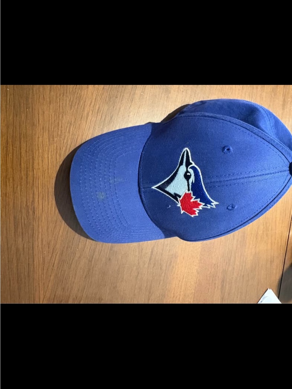 Kids Blue Baseball Cap with Embroidered Mascot